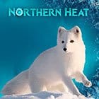 Northern Heat game icon